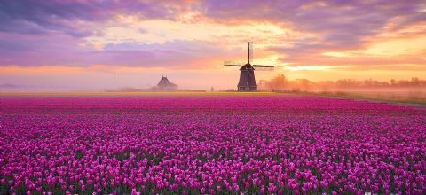 Bing photo