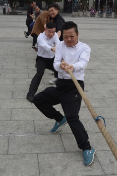 活动 2019.11.22 职工运动会 综合