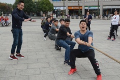 活动 2019.11.22 职工运动会 综合