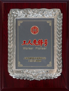 2020.4.20 祥泓物业公司祥和尊邸保安班组 长征镇工人先锋号