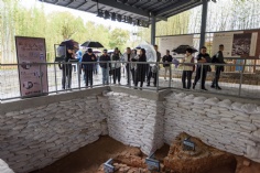 活动 2026.3.20 景德镇扩展活动