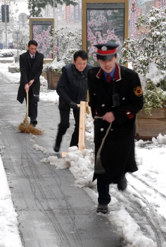 活动 2008.1.29 铲雪