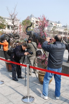 活动 2011.2.24 2011梅川路梅花节