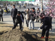 活动 2007.3.12 植树