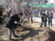 活动 2007.3.12 植树