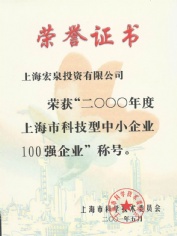 宏泉集团 2001.5 2000年度上海市科技型中小企业100强