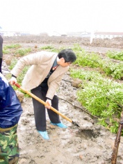 活动 2003.3 植树