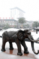 活动 2008.1.28 铲雪