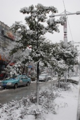 梅川路 欧亚 商业休闲街 2008.1.29 雪景