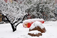 梅川路 欧亚 商业休闲街 2008.1.29 雪景