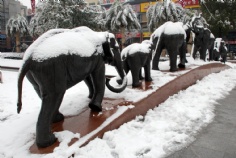 梅川路 欧亚 商业休闲街 2008.1.29 雪景