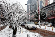 梅川路 欧亚 商业休闲街 2008.1.29 雪景