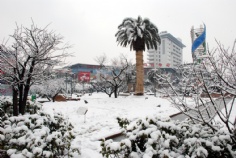 梅川路 欧亚 商业休闲街 2008.1.29 雪景