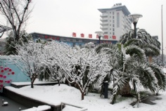 梅川路 欧亚 商业休闲街 2008.1.29 雪景