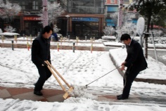 活动 2008.1.29 铲雪