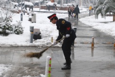 活动 2008.1.29 铲雪