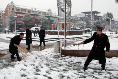 活动 2008.1.29 铲雪