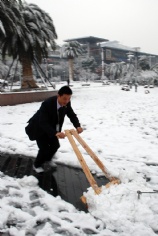 活动 2008.1.29 铲雪