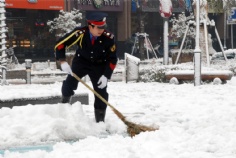 活动 2008.1.29 铲雪