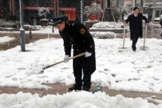 活动 2008.1.29 铲雪