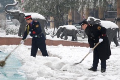 活动 2008.1.29 铲雪