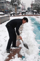 活动 2008.1.29 铲雪