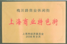2008.9 梅川路商业休闲街 上海商业特色街