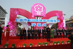 活动 2008.3.2 梅川路 梅花节
