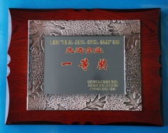 古浪房产 先进企业 一等奖 迎国庆 战白天 保增长 作贡献 总结表彰大会