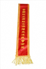 宏泉集团 2009.12.03 全国就业与社会保障先进民营企业