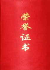 2009.6 宏泉集团 2008年度“宏泉杯”普陀区科技系统职工羽毛球赛优秀组织奖