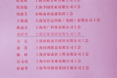 2009.6 2003-2008 上海市普陀区工会财会工作先进集体和先进工作者