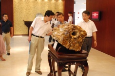 活动 2009.7.25 普陀民营科技总部大厦入驻