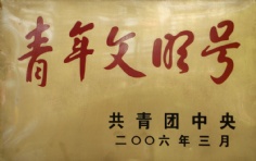 奖项 2006.3 青年文明号 共青团中央