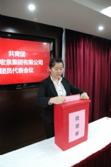 会议 2010.10.28 共青团上海宏泉集团有限公司团员代表会议