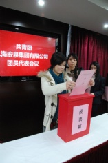 会议 2010.10.28 共青团上海宏泉集团有限公司团员代表会议
