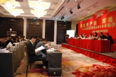 会议 活动 2010.3.16 2010经济工作会议