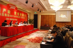 会议 活动 2010.3.16 2010经济工作会议