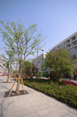 梅川路改造