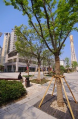 梅川路改造