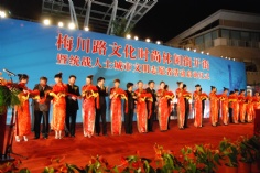 活动 2010.4.28 梅川路文化时尚休闲街开街 统战人士城市文明志愿者活动启动仪式