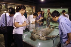 会议 活动 2010.6.13 2010上海国际首饰时尚节专题论坛 黄金协会参观祥和博物馆