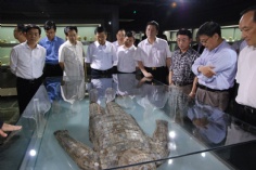 活动 会议 访问 2010.7.30 市政协调研组访问指导