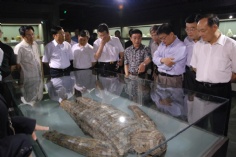 活动 会议 访问 2010.7.30 市政协调研组访问指导