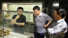活动 2010.7.18 曹可凡等参观祥和博物馆