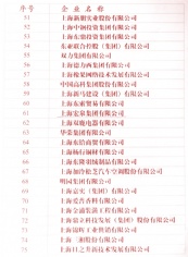 2010.8 宏泉集团 2010上海民营企业100强