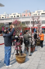 活动 2011.2.24 2011梅川路梅花节