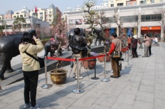 活动 2011.2.24 2011梅川路梅花节