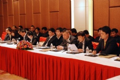 会议 2011.3.4 2011经济工作会议