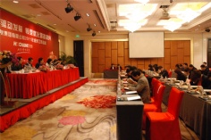 会议 2011.3.4 2011经济工作会议